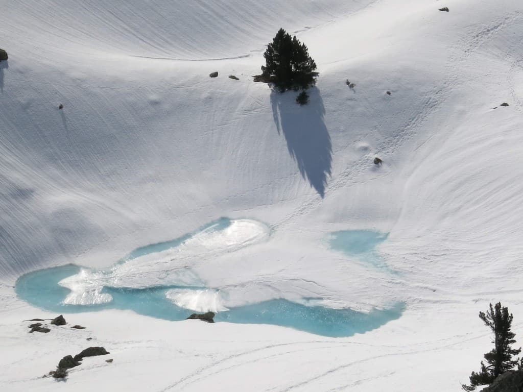La neige fond A.P.