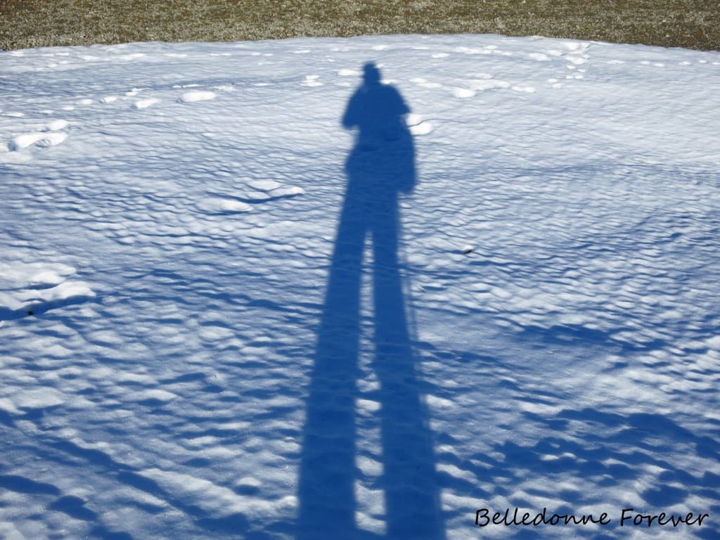 Le soleil reste bas sur l'horizon A.P.