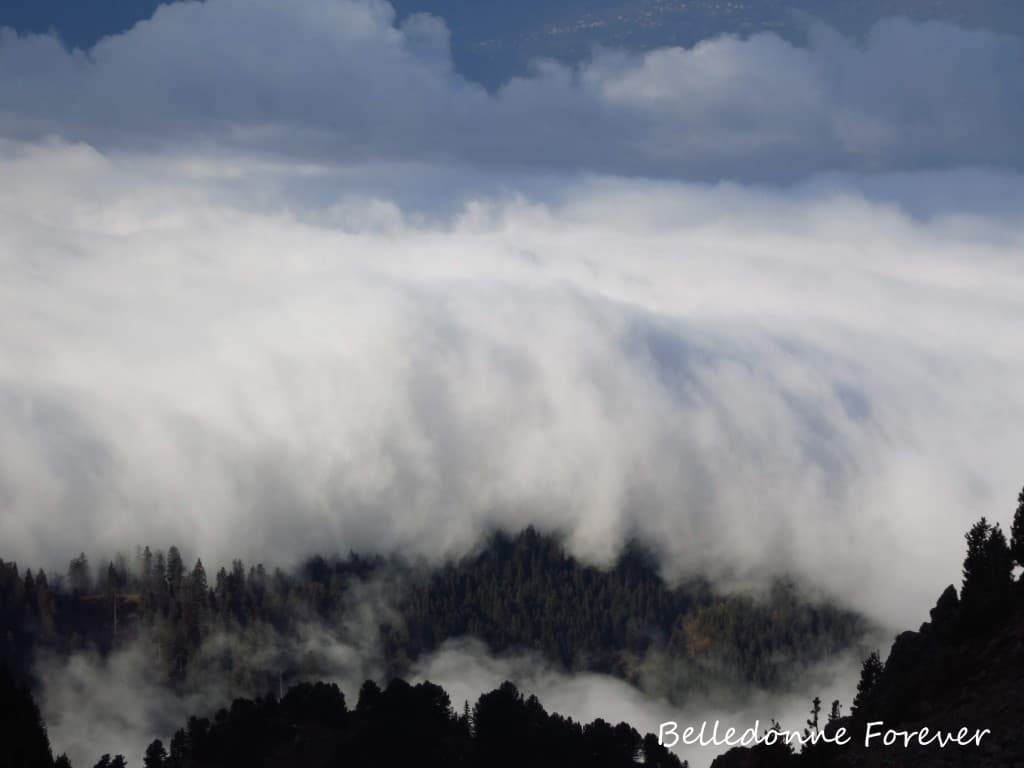 Les nuages au-dessus de la foret A.P.