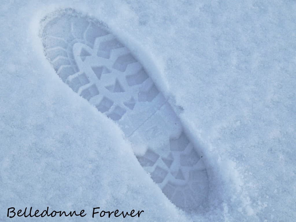Neige humide - vent de sud  A.P.
