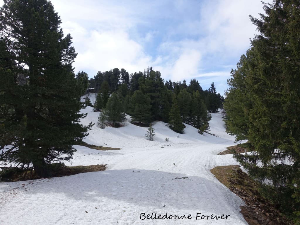 En bas cela commence à fondre A.P.