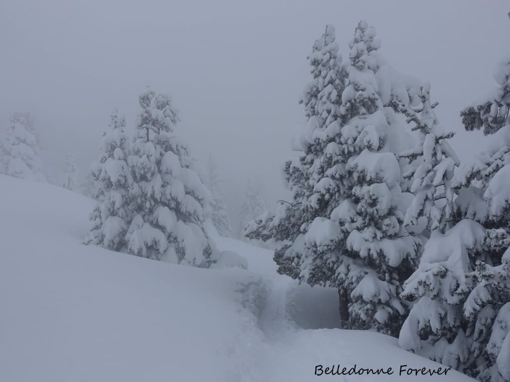 Le brouillard arrive A.P.