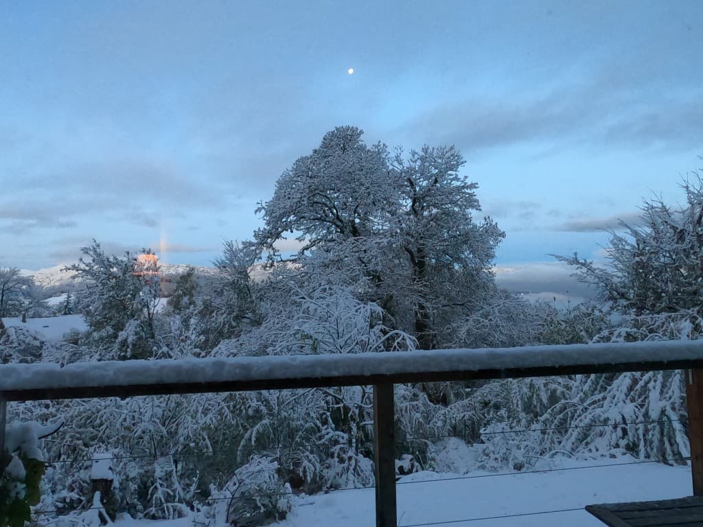 neige