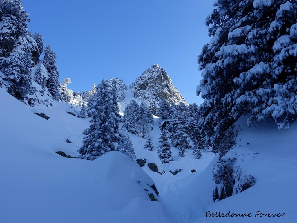 Enfin un peu de neige A.P.