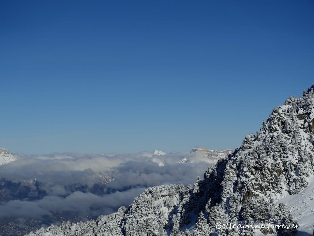 Vers la chartreuse A.P.