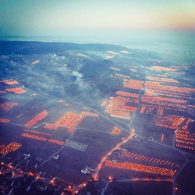 Image d'illustration pour Nouveau coup de froid avec gelées en cette fin de semaine