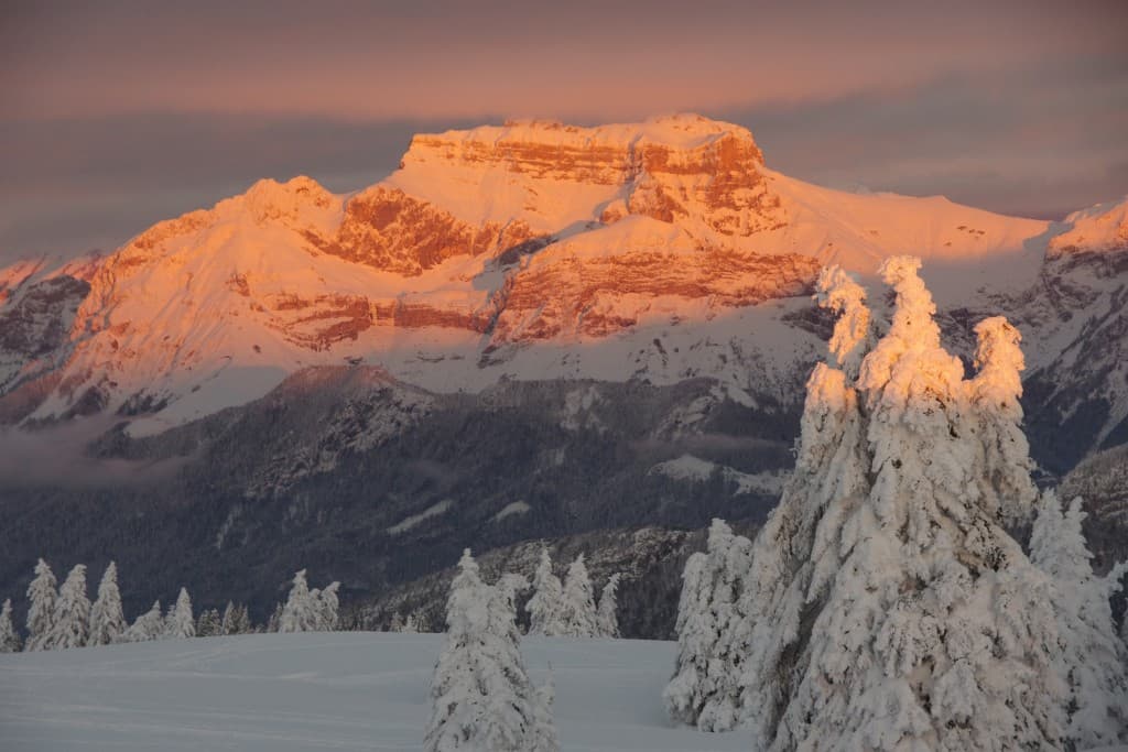 Image d'illustration pour BILAN DÉCEMBRE : Froid puis très doux, beaucoup de pluies